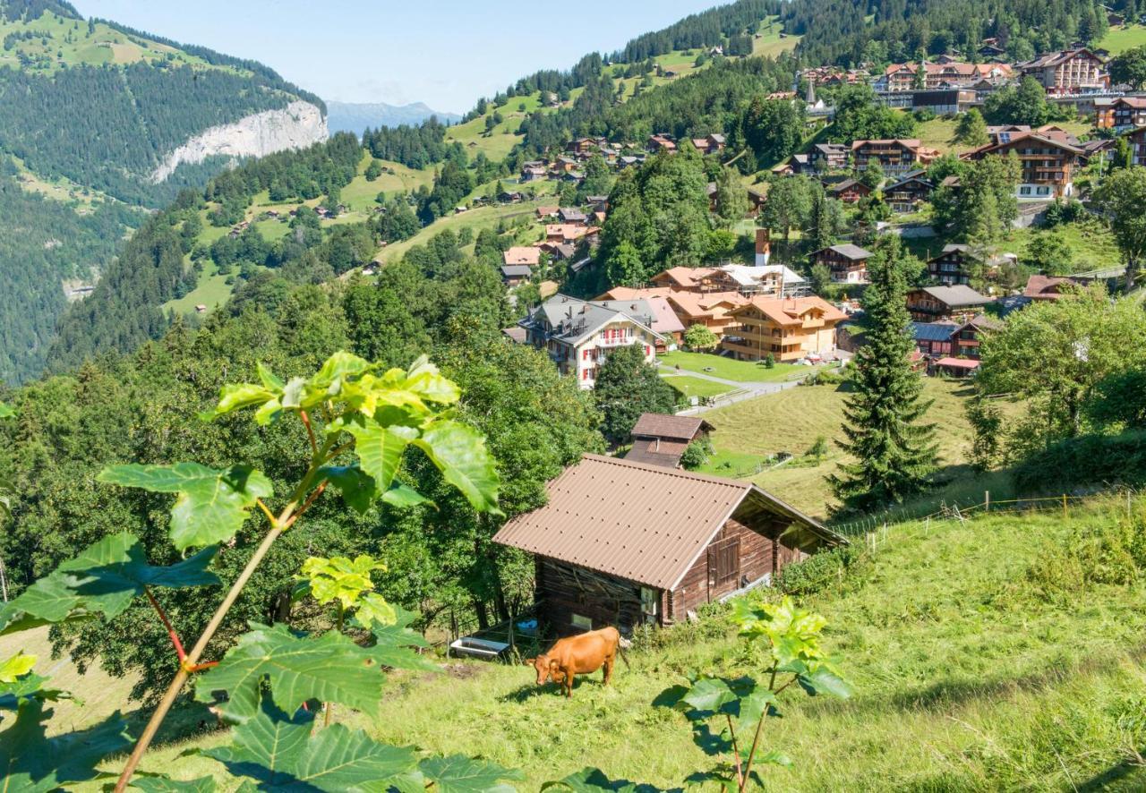 Panoramapark Soleil Chalet C Wengen Exterior foto