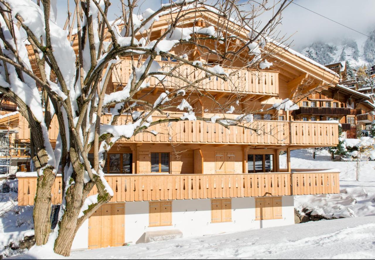 Panoramapark Soleil Chalet C Wengen Exterior foto